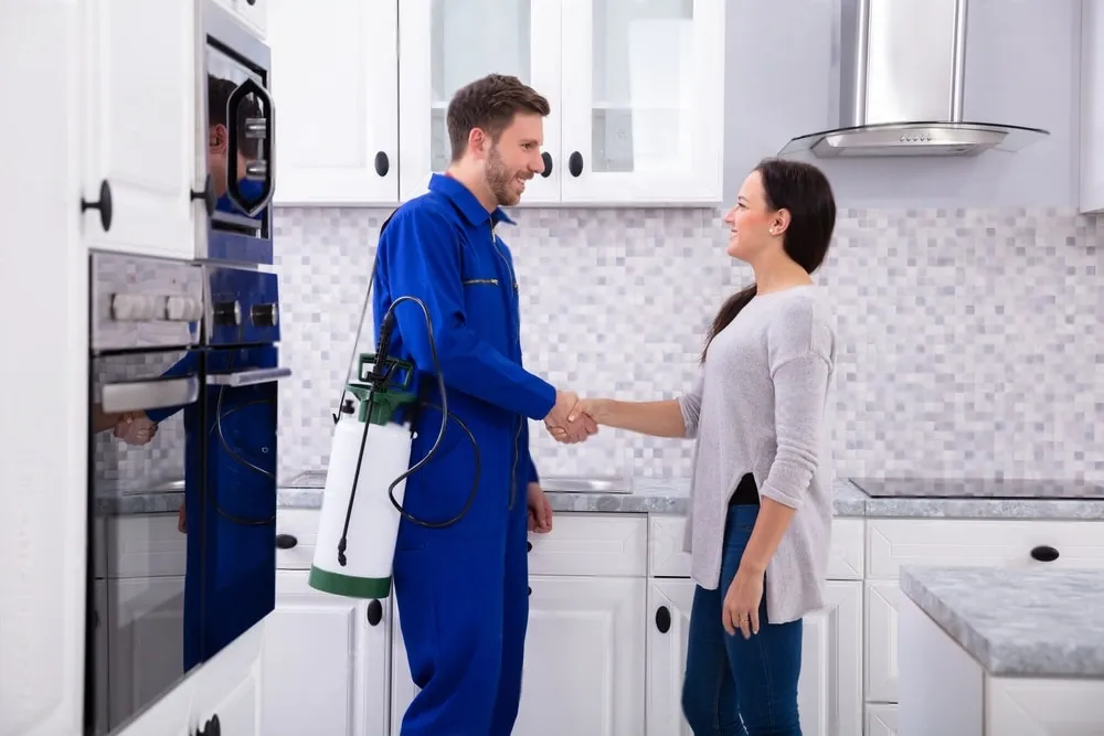 Pest Control Experts - Lake Forest Best Pest Pros | Lake Forest, CA | 949-536-7986